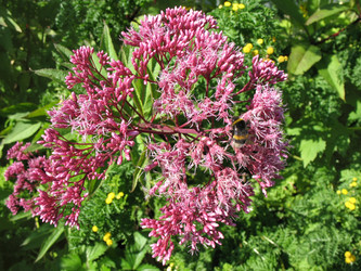 Similar image 1156890