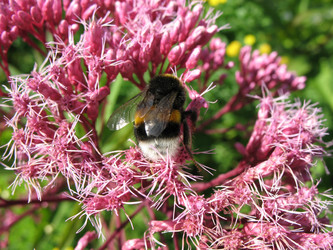 Similar image 1156891