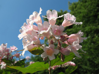 Similar image 1156894