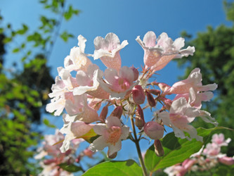 Similar image 1156895