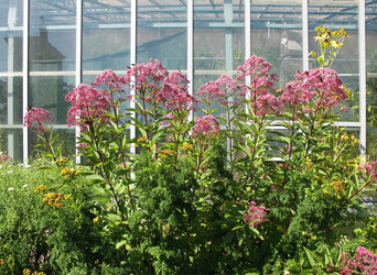 Similar image 1156902