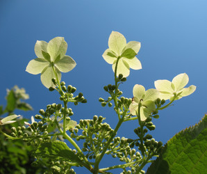 Similar image 1156905