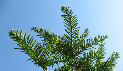 Similar image 1156907