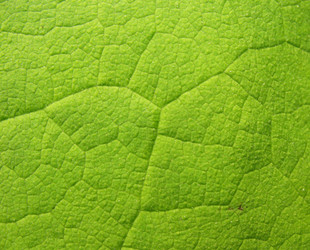 Similar image 1156910