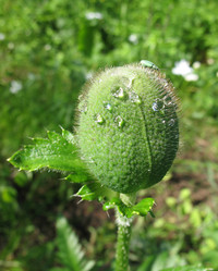 Similar image 1156911