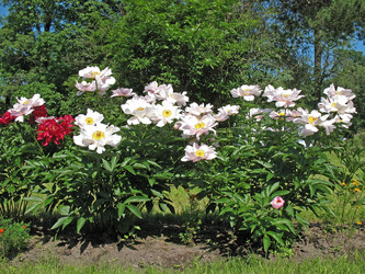 Similar image 1156913