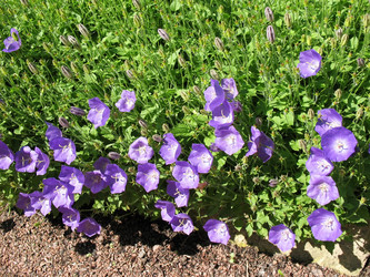 Similar image 1156914