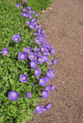 Similar image 1156915