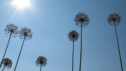 Similar image 1156917