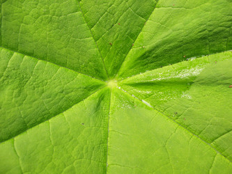 Similar image 1156928