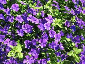 Similar image 1156933