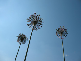 Similar image 1156939