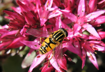 Similar image 1156945