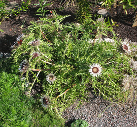 Similar image 1156950