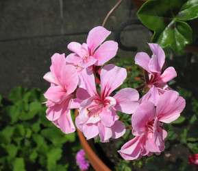 Similar image 1156955