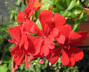 Similar image 1156958