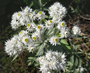 Similar image 1156967