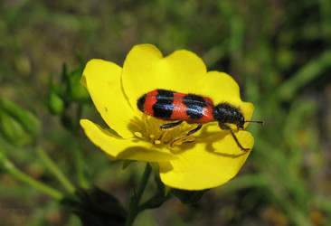 Similar image 1156975