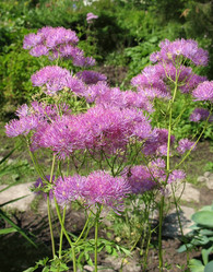 Similar image 1156978