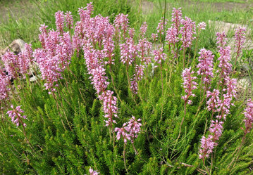 Similar image 1156979