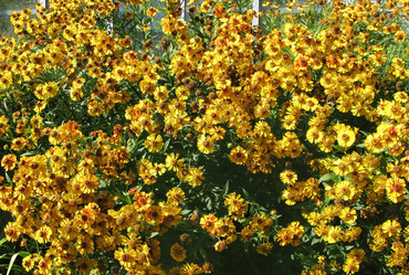 Similar image 1156980