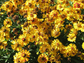 Similar image 1156981