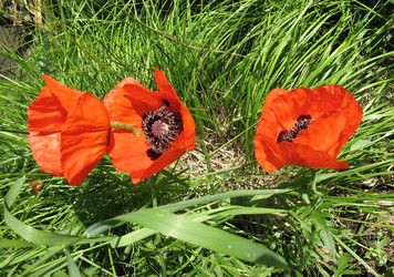 Similar image 1156986