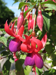 Similar image 1156998