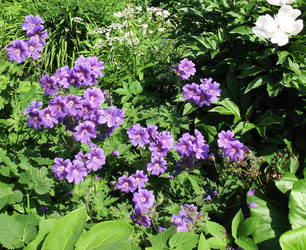 Similar image 1157001