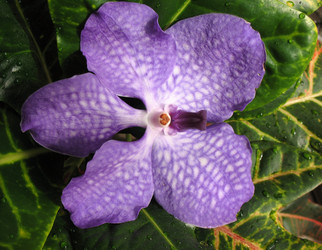 Similar image 1157009