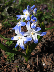 Similar image 1157010