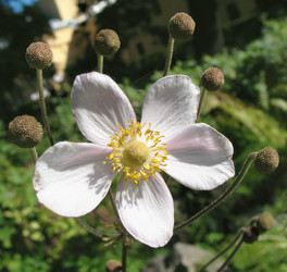 Similar image 1157018