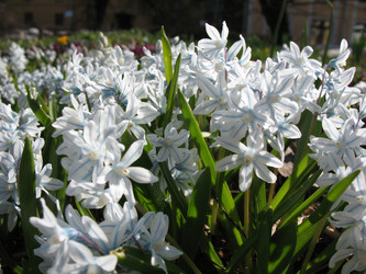 Similar image 1157022