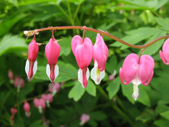 Similar image 1157029