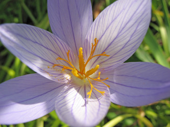 Similar image 1157030