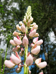 Similar image 1157031