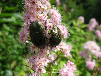 Similar image 1157042