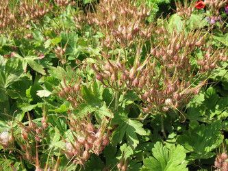 Similar image 1157044