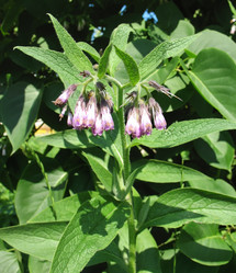 Similar image 1157045