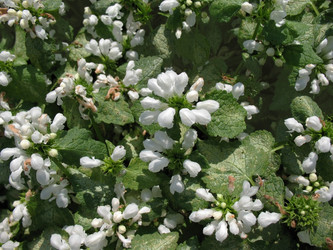 Similar image 1157048