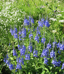 Similar image 1157050