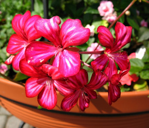 Similar image 1157052