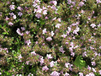 Similar image 1157053