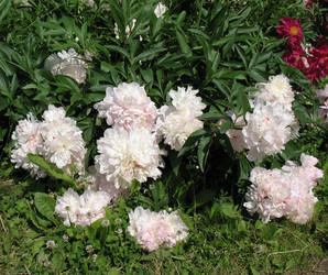 Similar image 1157059