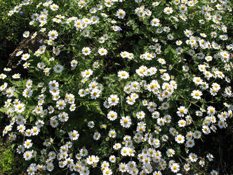 Similar image 1157060