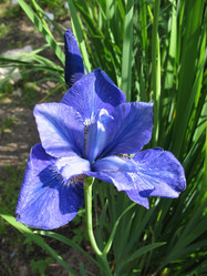 Similar image 1157061