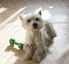 Similar image 1157067