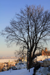 Similar image 1157078