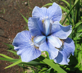 Similar image 1157080