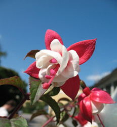 Similar image 1157082